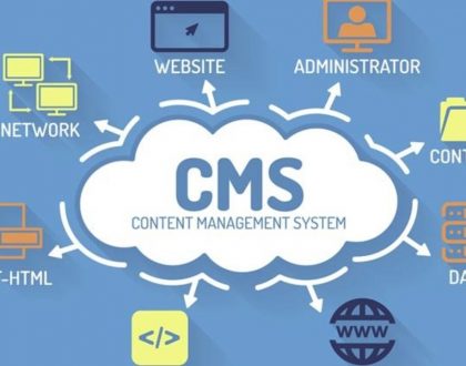 Content Management System - Antz Business Solutions